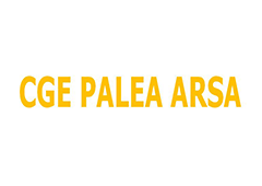 CGE Palea Arsa 