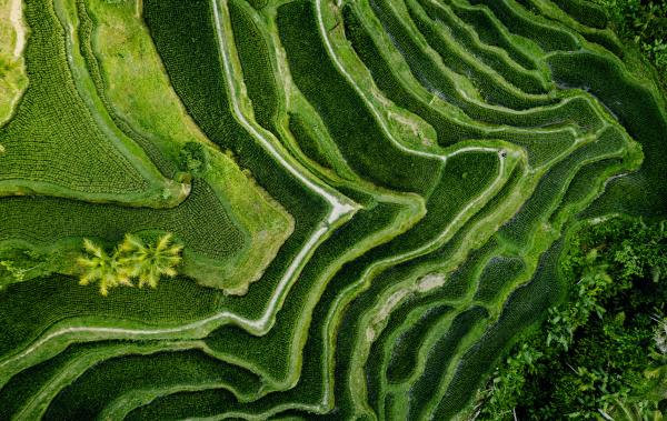 ARDIAN_Co-Invest_Sustainability