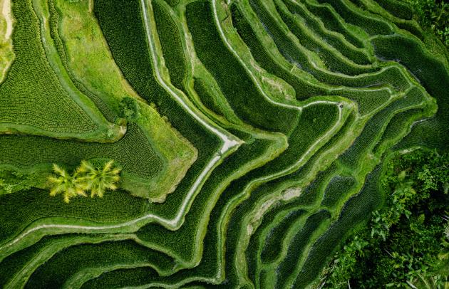 ARDIAN_Co-Invest_Sustainability