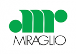 Logo AMP