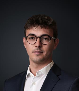 Matteo Collini.jpg