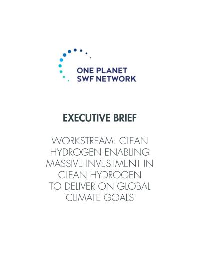 Clean Hydrogen Executive Brief