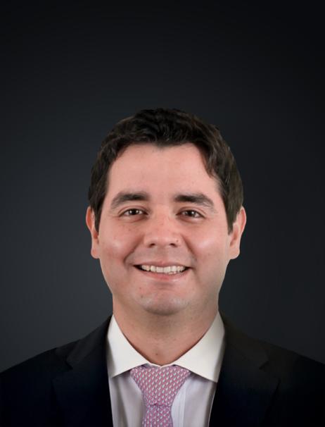 Emilio Llosa.jpg