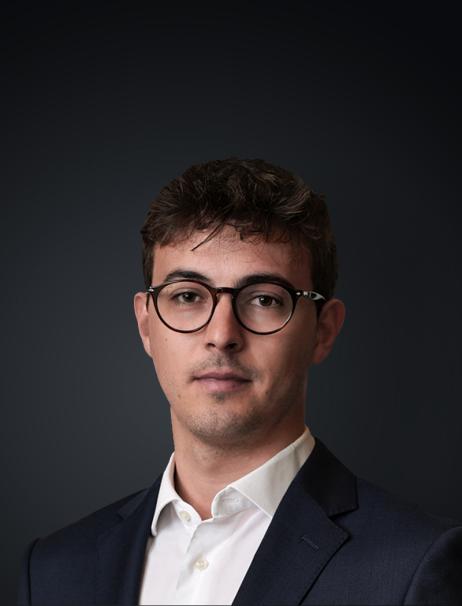 Matteo Collini.jpg